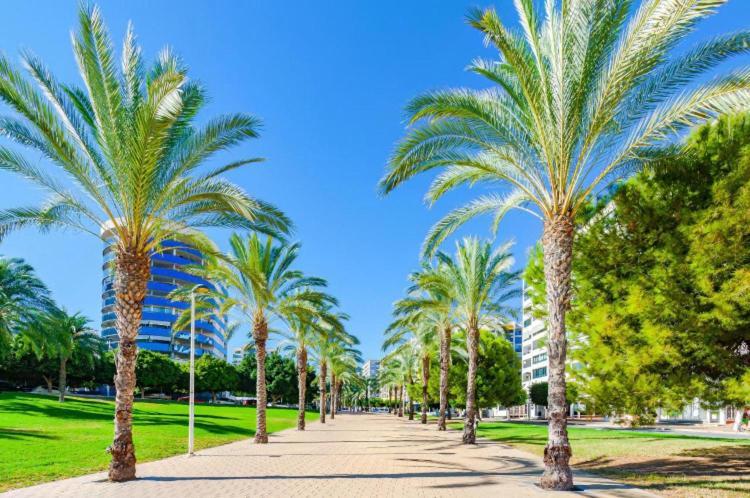 Appartamento Cala Cosy Benidorm Esterno foto